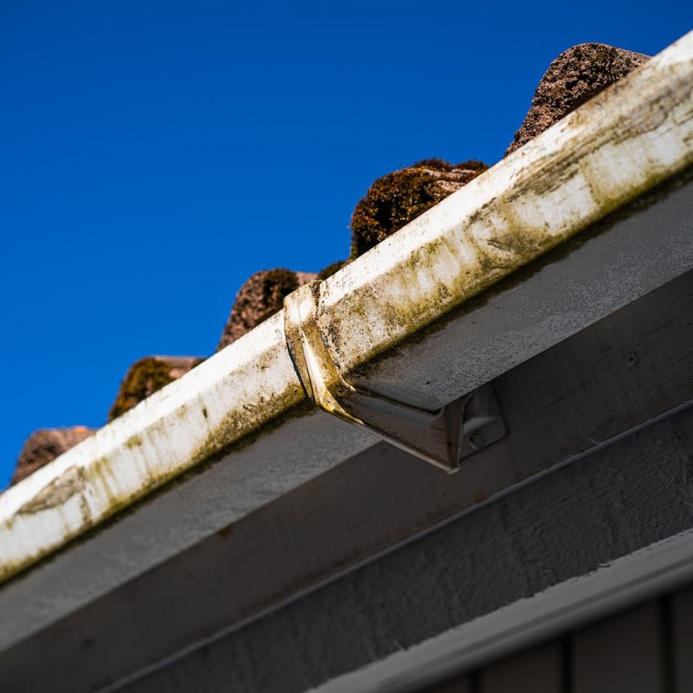 Gutter Cleaning